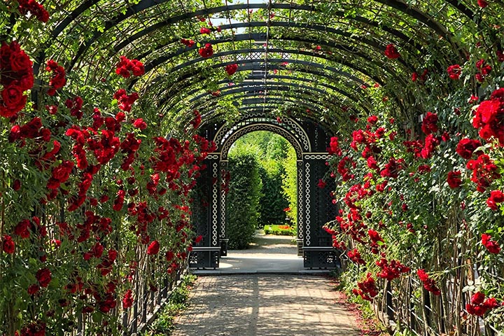 iron garden